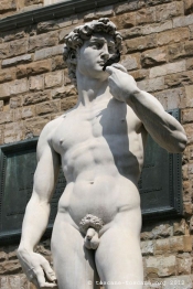 David de Michelange, Piazza della Signoria