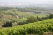 Paysage du Chianti