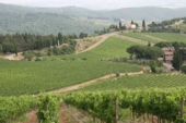 Paysage du Chianti