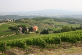 Paysage du Chianti