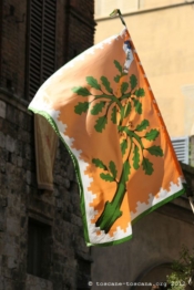 contrada della selva