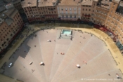 Piazza del Campo vue depuis la tour della Mangia
