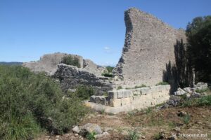 Temple de Cosa Antica