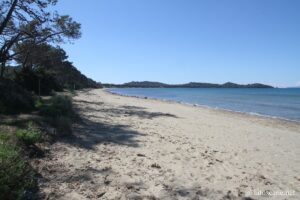 Plage vers Quadrifoglio et Punta Ala