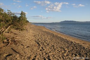 Plage de la réserve de la Feniglia, Orbetello