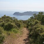 Dintorni di Portoferraio