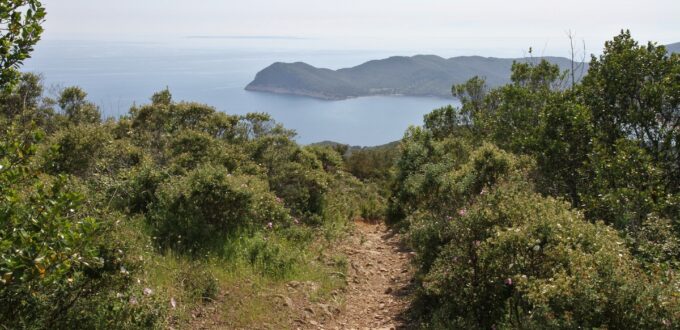 Monte Fonza, Elba