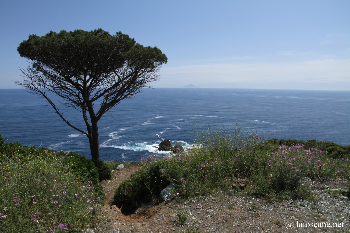 Monte Grosso et Capo di Stella, Île d'Elbe