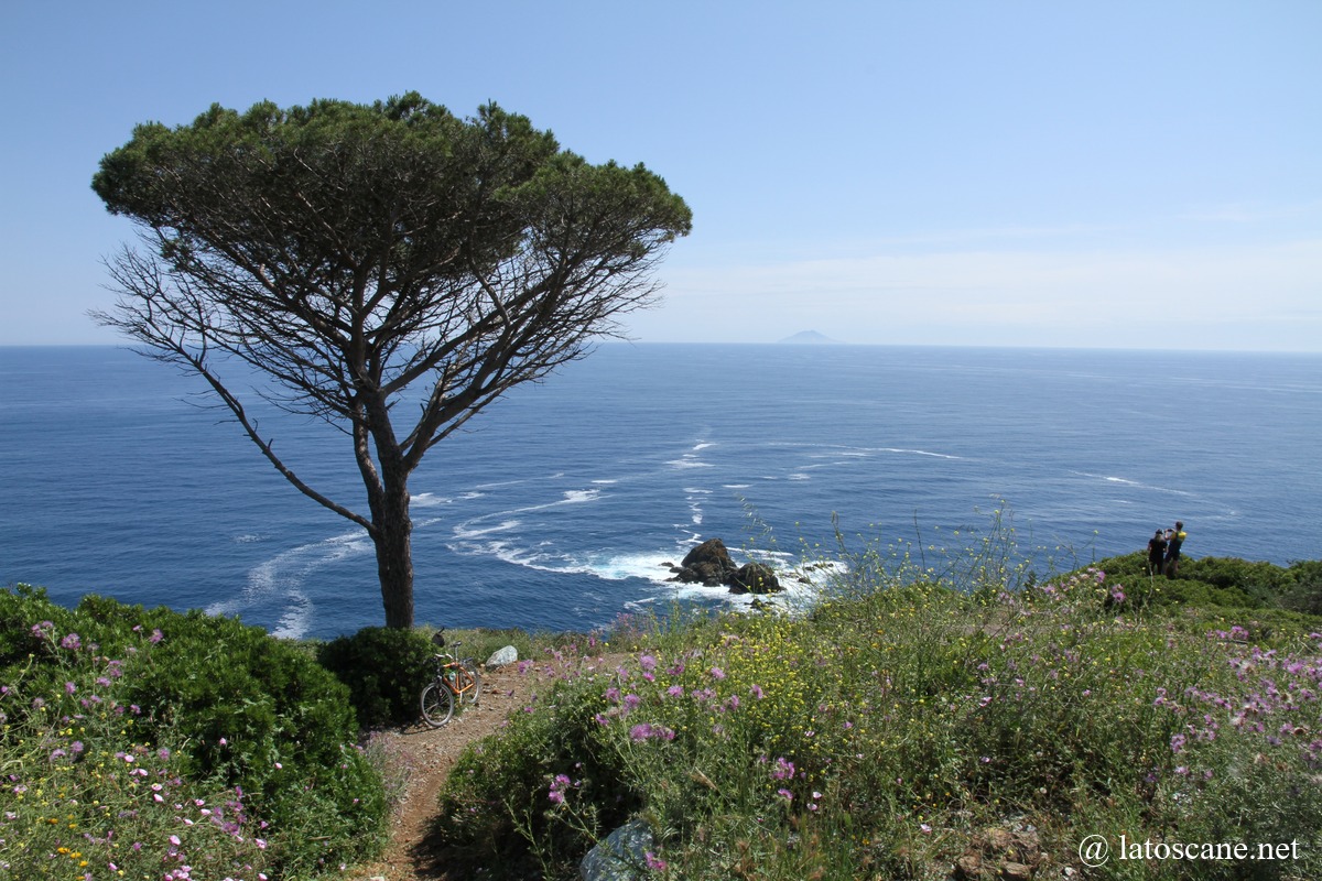 Monte Grosso et Capo di Stella, Île d'Elbe