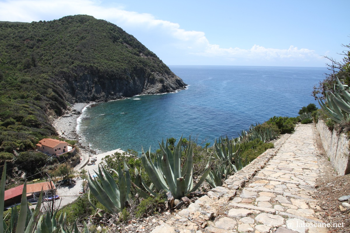 Patresi, Punta Polveraia