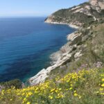 La costa occidentale dell'Isola d'Elba