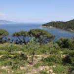De Procchio à Marina di Campo