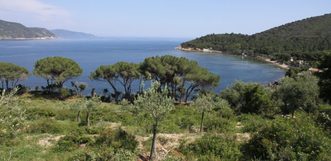 Plage de Salandri, baie de Galenzana
